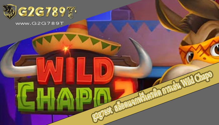 สล็อตแจกฟรีเครดิต การเล่น Wild Chapo เกมยอดฮิต